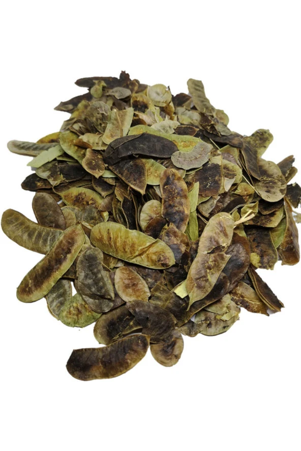 Açlık Otu Paket 100gr ürün görseli