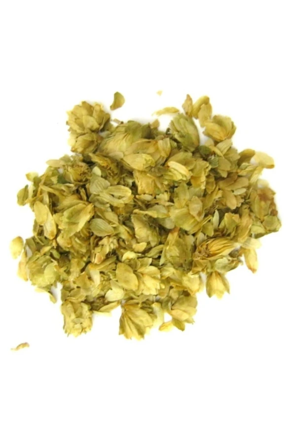 Şerbetçi Otu Paket 100gr ürün görseli