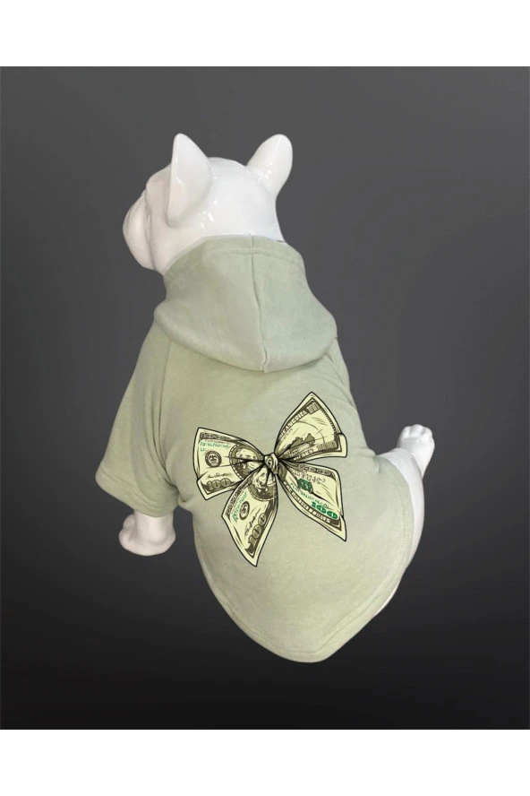 Kedi & Köpek Kıyafeti Sweatshirt - Dolar Baskılı Su Yeşili Sweatshirt