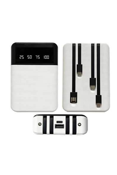 Pilli Power Bank Pil Takılabilen Dijital Göstergeli Power Bank - Resim 4