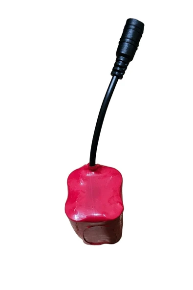 Sazan Yemleme (TEKNE VE BOTU)pil 9600 Mah 7.4v 8.4v Tüm Teknelere Uyumlu - 4