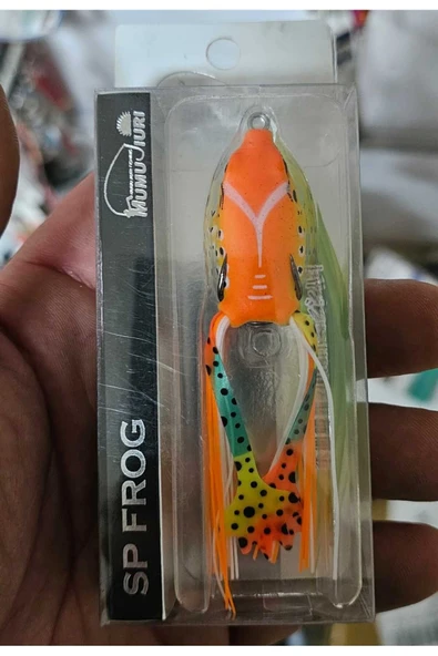 At çek avcı kaşık kurbağa