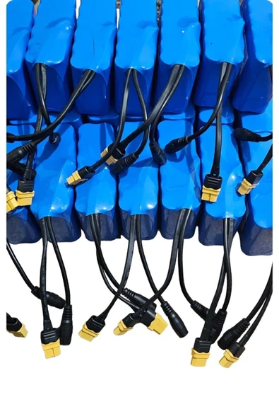 Sazan Yemleme (TEKNE VE BOTU)pil Tüm 12v Teknelere Uyumlu Akü Tipi Yüksek Kaliteli Arıza Vermeyen - 6