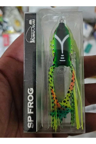 At çek avcı kaşık kurbağa