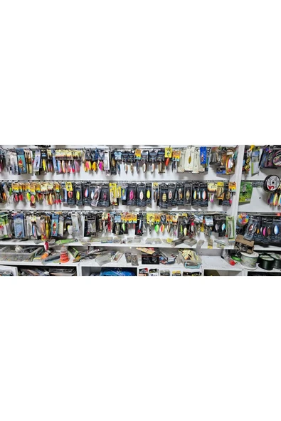 At çek avcı kaşık kurbağa - Resim 2