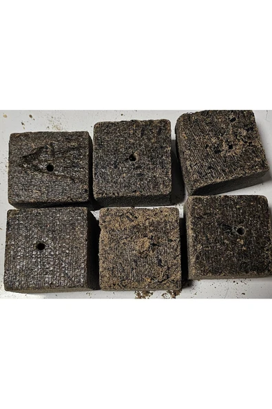 Sazan Yemleme (BALIK YEMİ) Delikli Kare Ay Çekirdeği Küspesi (2KG)