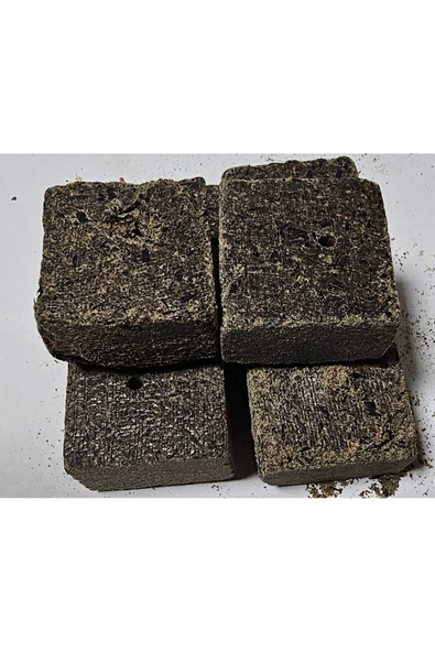 Sazan Yemleme (BALIK YEMİ) Delikli Kare Ay Çekirdeği Küspesi (2KG) - 4