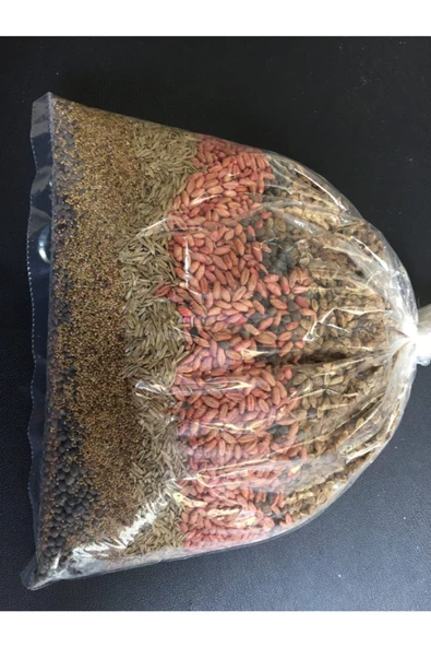 Gezen Tavuk Için Beş Çeşit Yem Bitkisi Tohumu Karışımı 6 kg - Resim 6