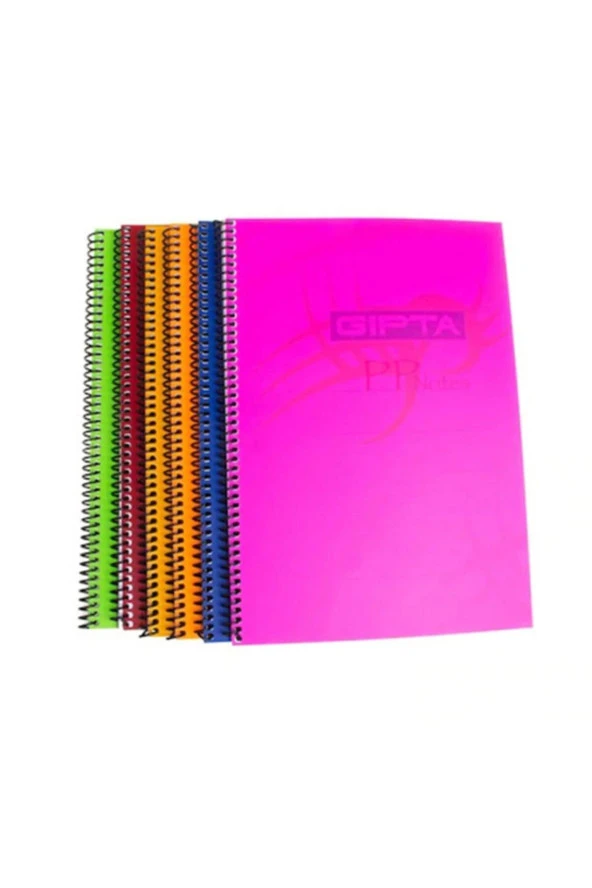 Gıpta Spiralli Defter Eko Plastik Kapak Çizgili 80 Yaprak A4 Okul Defteri (12 Li Paket)
