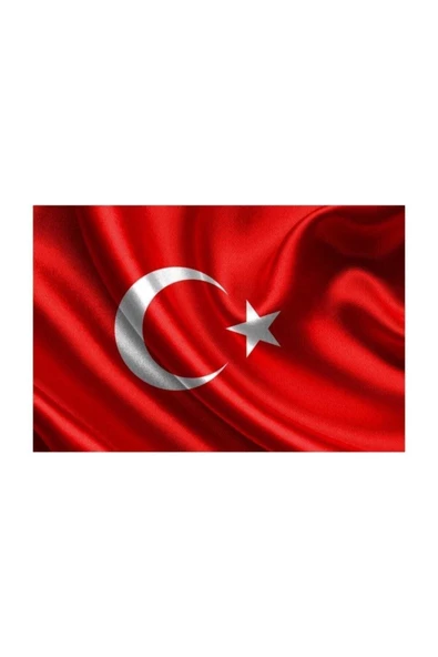VATAN BAYRAK 20*30 TÜRK BAYRAĞI