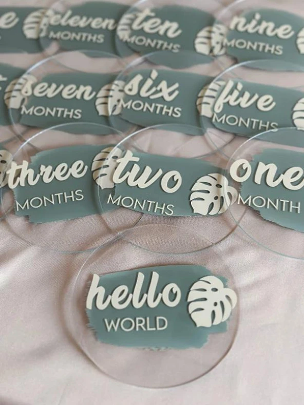 Moisy 13 Parça Aylık Bebek Kartları Fotoğraf Çekimi Plak Seti Bebek Ay Kartları Hamile Seti Pleksi - 2