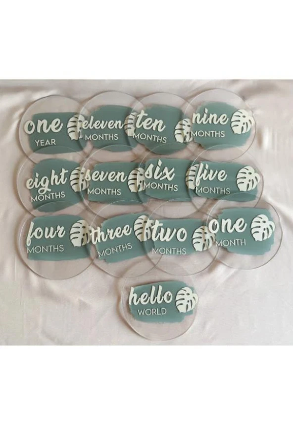Moisy 13 Parça Aylık Bebek Kartları Fotoğraf Çekimi Plak Seti Bebek Ay Kartları Hamile Seti Pleksi - 3