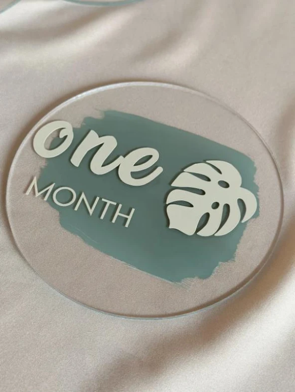 Moisy 13 Parça Aylık Bebek Kartları Fotoğraf Çekimi Plak Seti Bebek Ay Kartları Hamile Seti Pleksi - 4