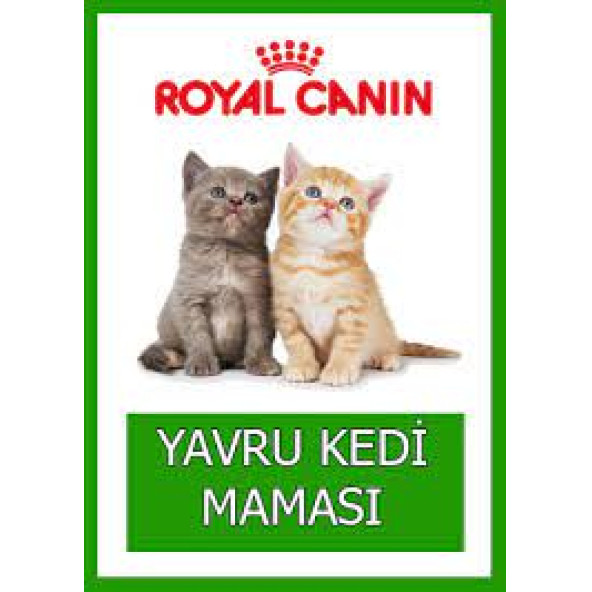 Royal Canin Kitten 36 Yavru Kedi Maması 10 KG (ORİJINAL KAPALI PAKET) SKT:04.2026 - 3