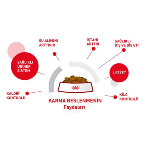 Royal Canin Kitten 36 Yavru Kedi Maması 10 KG (ORİJINAL KAPALI PAKET) SKT:04.2026 - 4