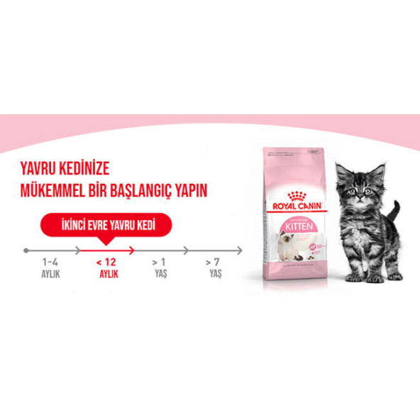 Royal Canin Kitten 36 Yavru Kedi Maması 10 KG (ORİJINAL KAPALI PAKET) SKT:04.2026 - 7