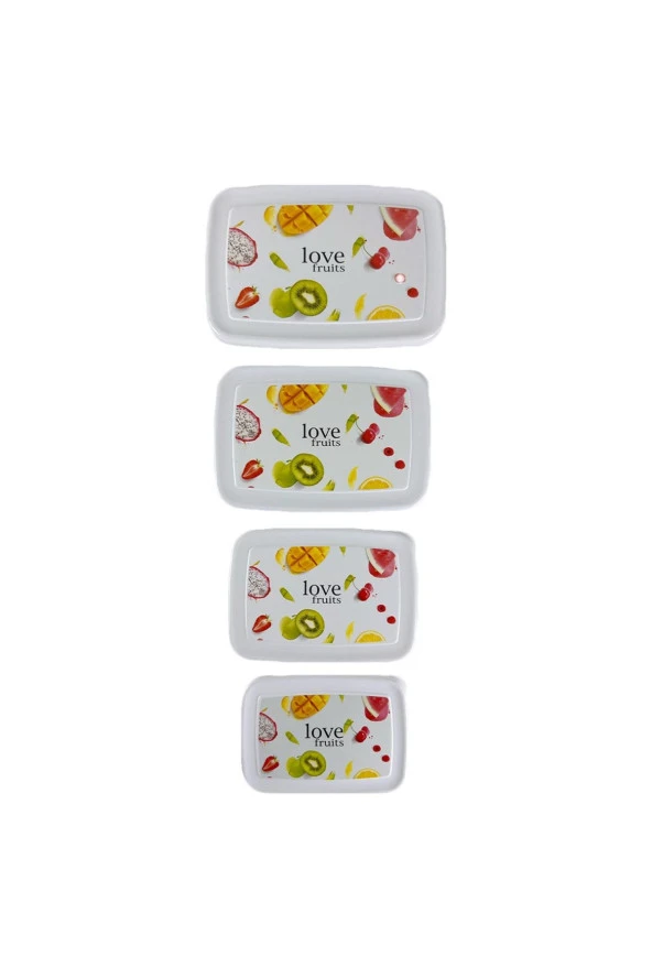 Gıda Saklama Kabı Erzak Saklama Kabı Meyve Sebze Et Balıkları Taze Ve Kuru Tutmak Için 4'lü Set - 4