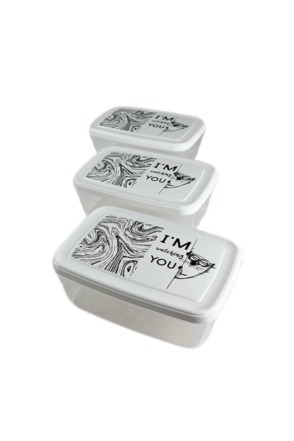 Gıda Saklama Kabı Erzak Saklama Kabı Meyve Sebze Et Balıkları Taze Ve Kuru Tutmak 850ml X 3'lü Set - 2