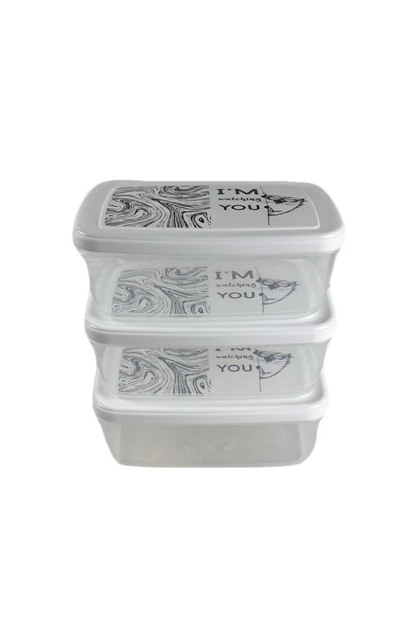 Gıda Saklama Kabı Erzak Saklama Kabı Meyve Sebze Et Balıkları Taze Ve Kuru Tutmak 850ml X 3'lü Set - 6