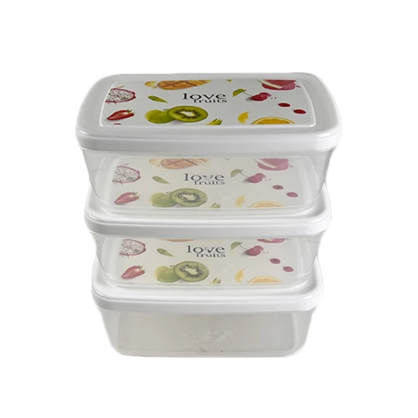 Gıda Saklama Kabı Erzak Saklama Kabı Meyve Sebze Et Balıkları Taze Ve Kuru Tutmak 850ml X 3'lü Set - 2