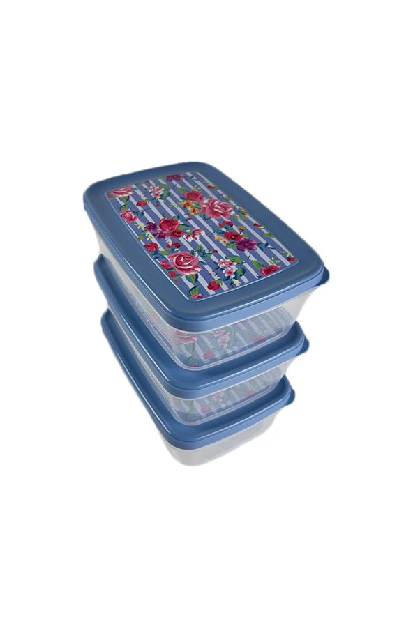 Gıda Saklama Kabı Erzak Saklama Kabı Meyve Sebze Et Balıkları Taze Ve Kuru Tutmak 850ml X 3'lü Set - 4