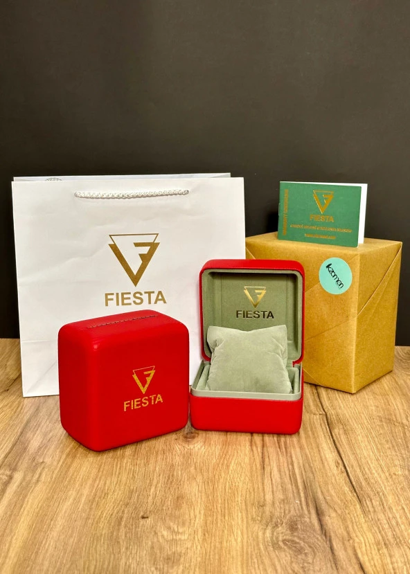 Fiesta Siyah Çelik Kasa Erkek Kol Saati - Resim 4