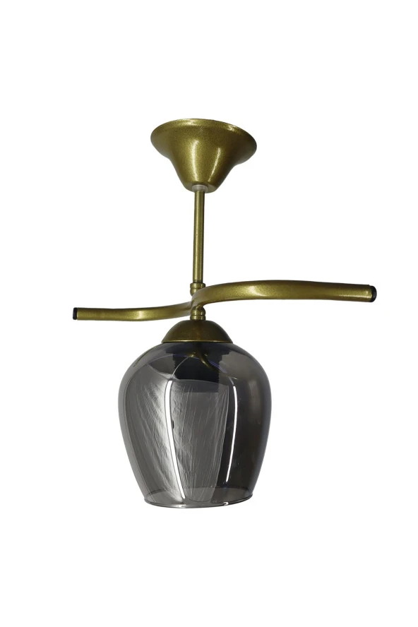 Mutu Ticaret Fuji Eskitme Tekli Füme Camlı Avize | Kaliteli Modern Metal Avize - 2