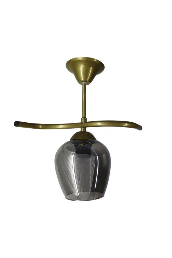 Mutu Ticaret Fuji Eskitme Tekli Füme Camlı Avize | Kaliteli Modern Metal Avize - 3