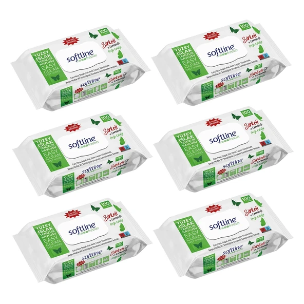 Softline Fresher Yüzey Islak Temizlik Havlusu 100'lü x 6 Adet - 2