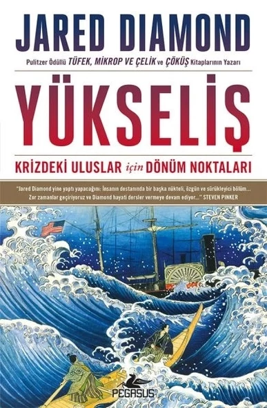 Yükseliş: Krizdeki Uluslar İçin Dönüm Noktaları - Ciltsiz