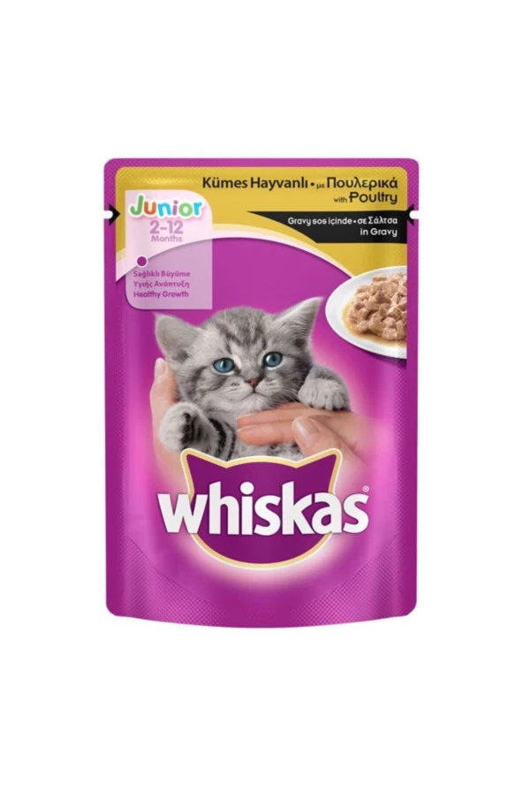 Whiskas Kümes Hayvanlı Yavru Yaş Mama 100 Gr