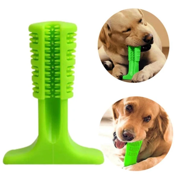 Köpek Diş Temizleyici ve Kaşıyıcı Sağlıklı Küçük Boy Oyuncak (3791)