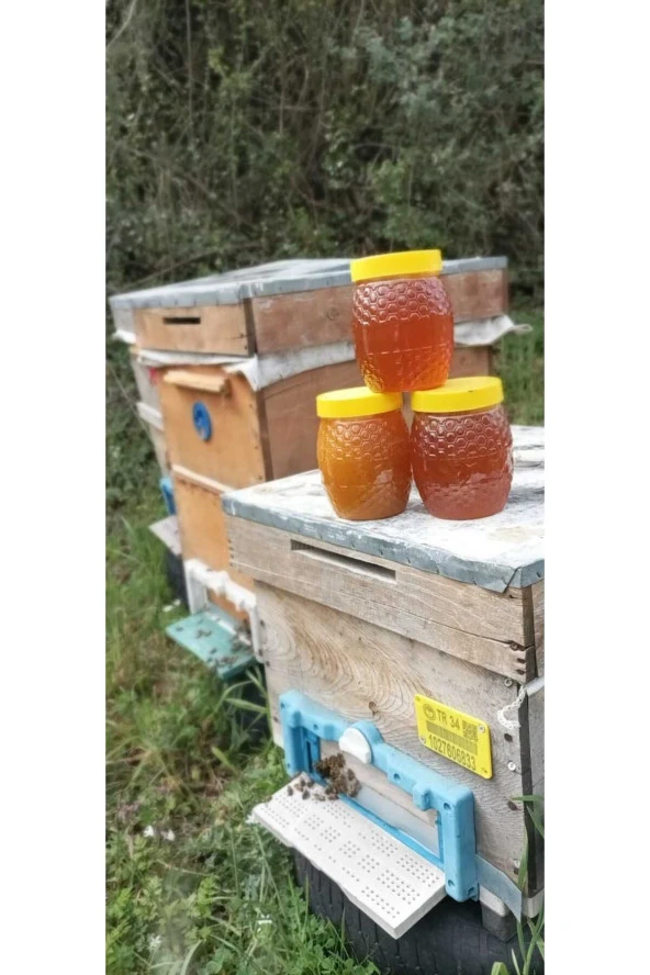 Doğal 1kg Çiçek Balı - 2