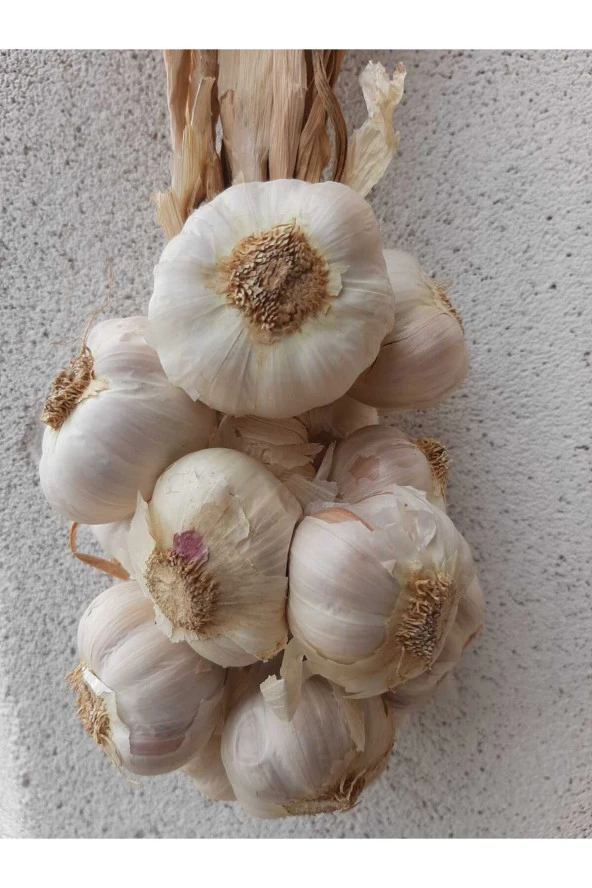 Sarımsak 1 Kg Iri Boy ( Kastamonu Taşköprü Sarımsağı)