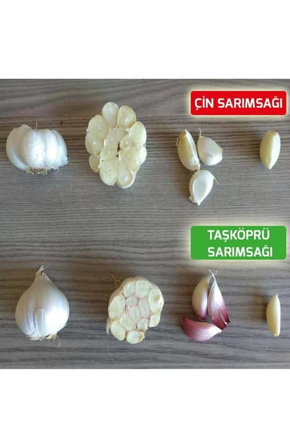 Hakiki Kastamonu Taşköprü Sarımsağı - Küçük Boy - 1 Kg - 2