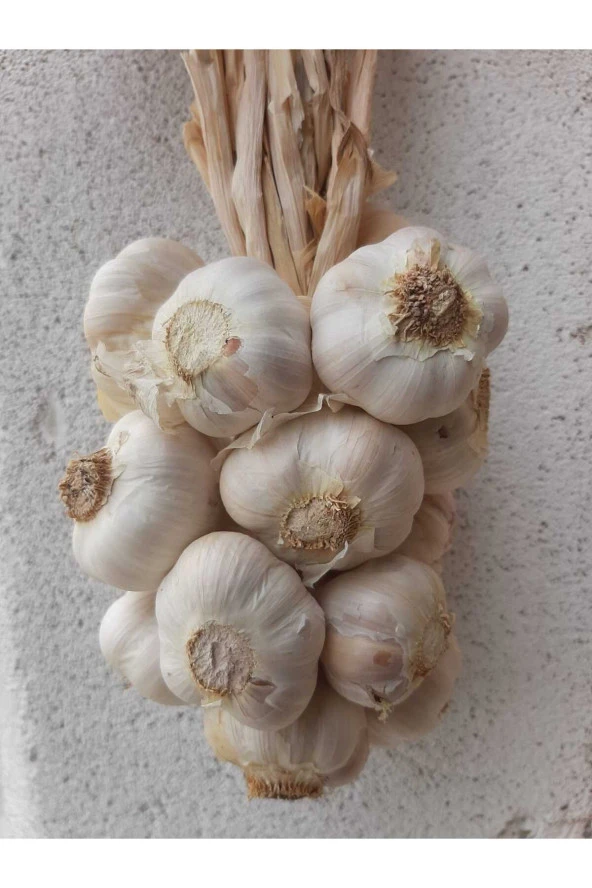 Sarımsak 1 Kg Iri Boy ( Kastamonu Taşköprü Sarımsağı) - 2