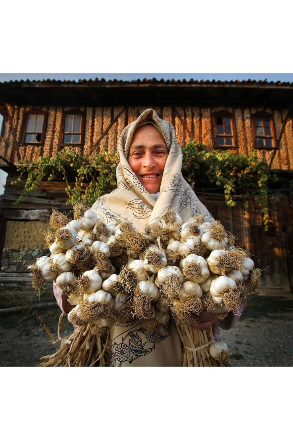 Batton Kastamonu Taş Köprü Sarımsağı 1 Kg - 3