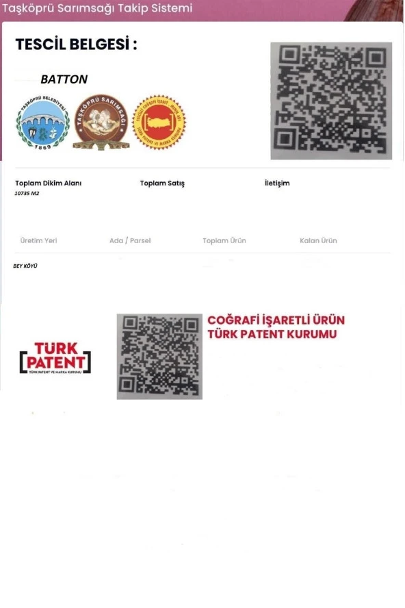 Batton Kastamonu Taş Köprü Sarımsağı 1 Kg - 4