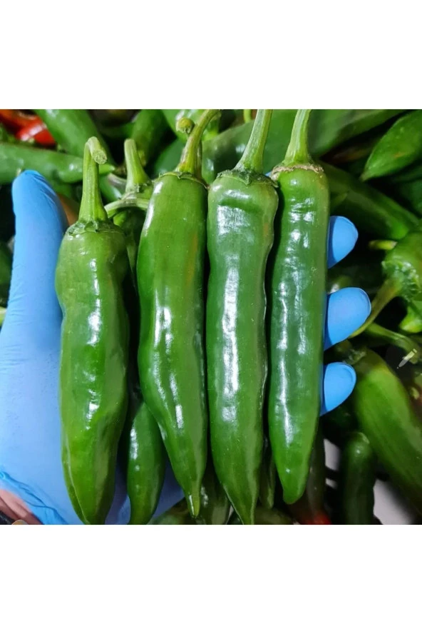 %100 Doğal Hatay Samandağ Biberi Paketli 1 Kg - 3