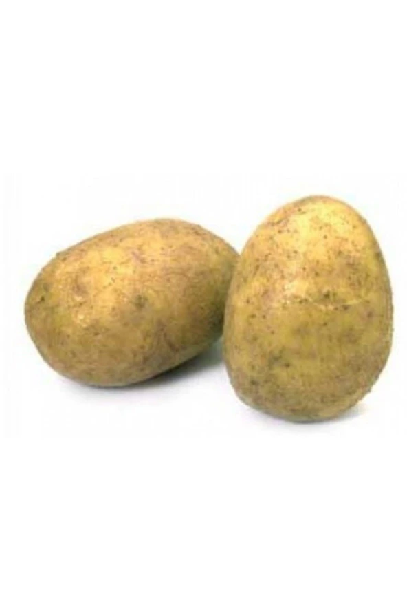 Fmb Güvenilir Gıda Patates 5 Kg - 3