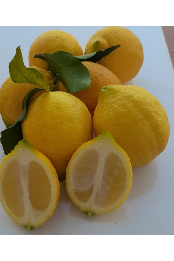 Limon 2 kg bol sulu