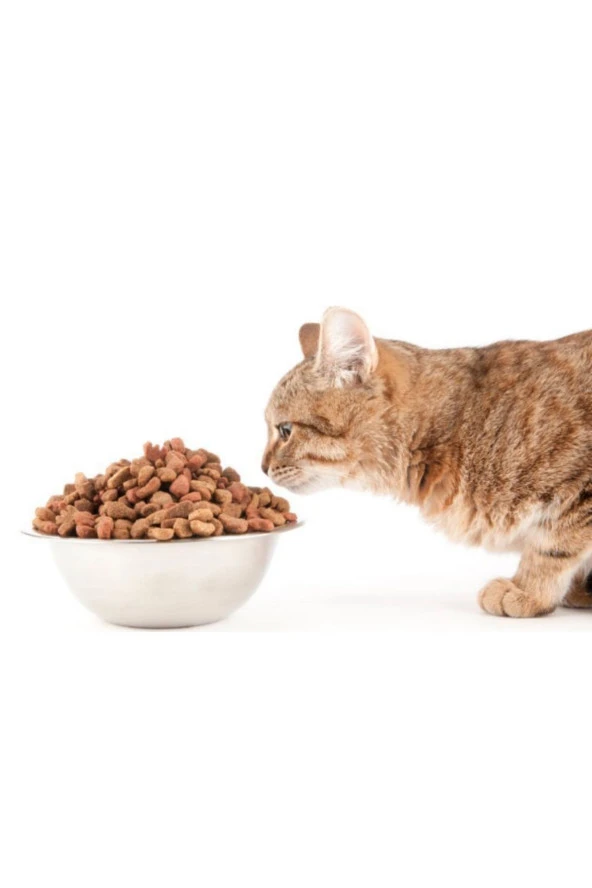 Dökme kedi maması ürün görseli 1