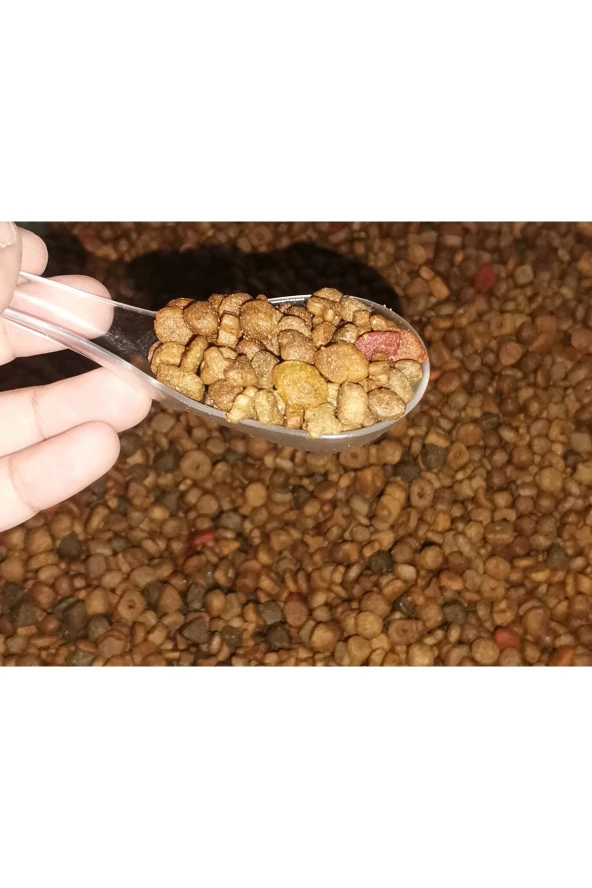 Sokak Hayvanları Için Kuru Kedi Maması 3 Kg - Resim 2