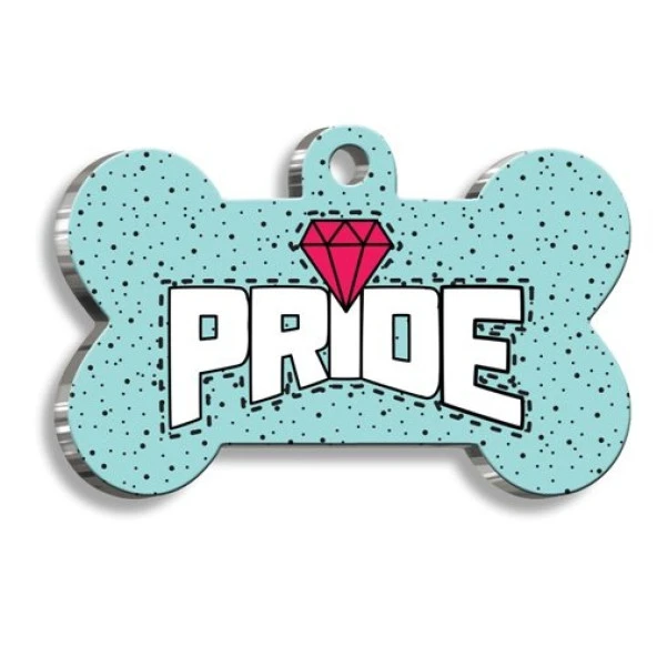 Mavi Pride Kemik Şekilli Kedi Köpek Künyesi Medium 2,6 x 3,8 cm ürün görseli 1