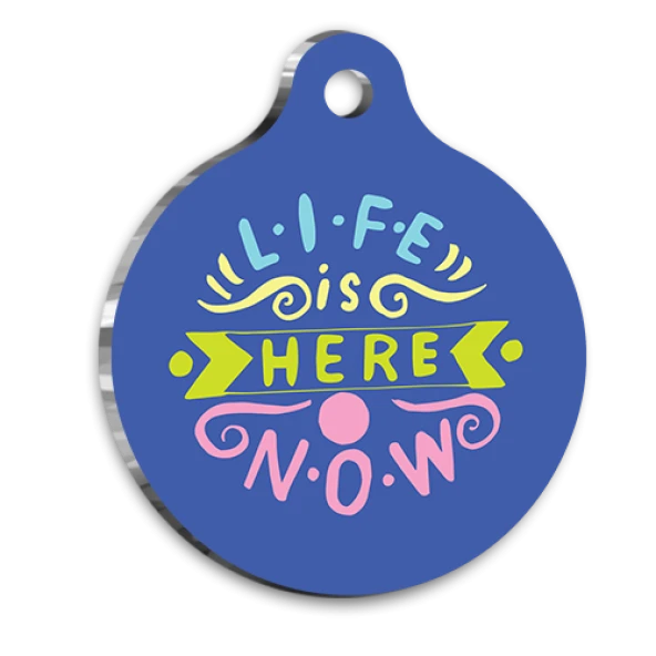 Şimdi ve Burada (Here & Now) Kedi köpek Künyesi ürün görseli 1