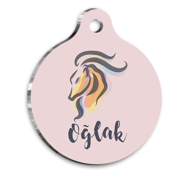 Oğlak Burcu Kedi Köpek Künyesi Large 2,9 x 5 cm ürün görseli 1