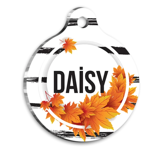 Sonbahar Yapraklı Siyah Çizgili Kedi Köpek Künyesi ürün görseli 1