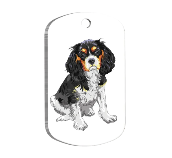 Cavalier Charles 2 Resimli Köpek Künyesi Small 2 x 3,5 cm ürün görseli 1