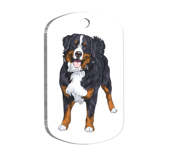 Bernese Mountain Resimli Köpek Künyesi ürün görseli 1