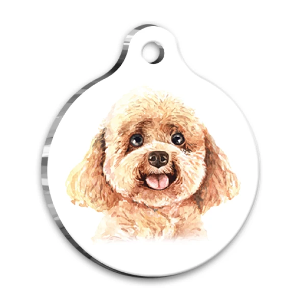 Suluboya Toy Poodle Yuvarlak Köpek Künyesi Small 2,5 cm ürün görseli 1